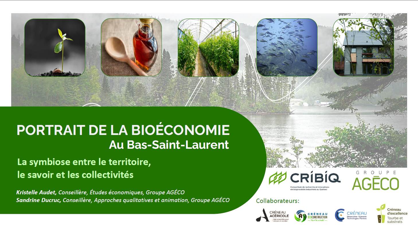 Portrait de la bioéconomie au Bas-Saint-Laurent: La symbiose entre le territoire, le savoir et les collectivités