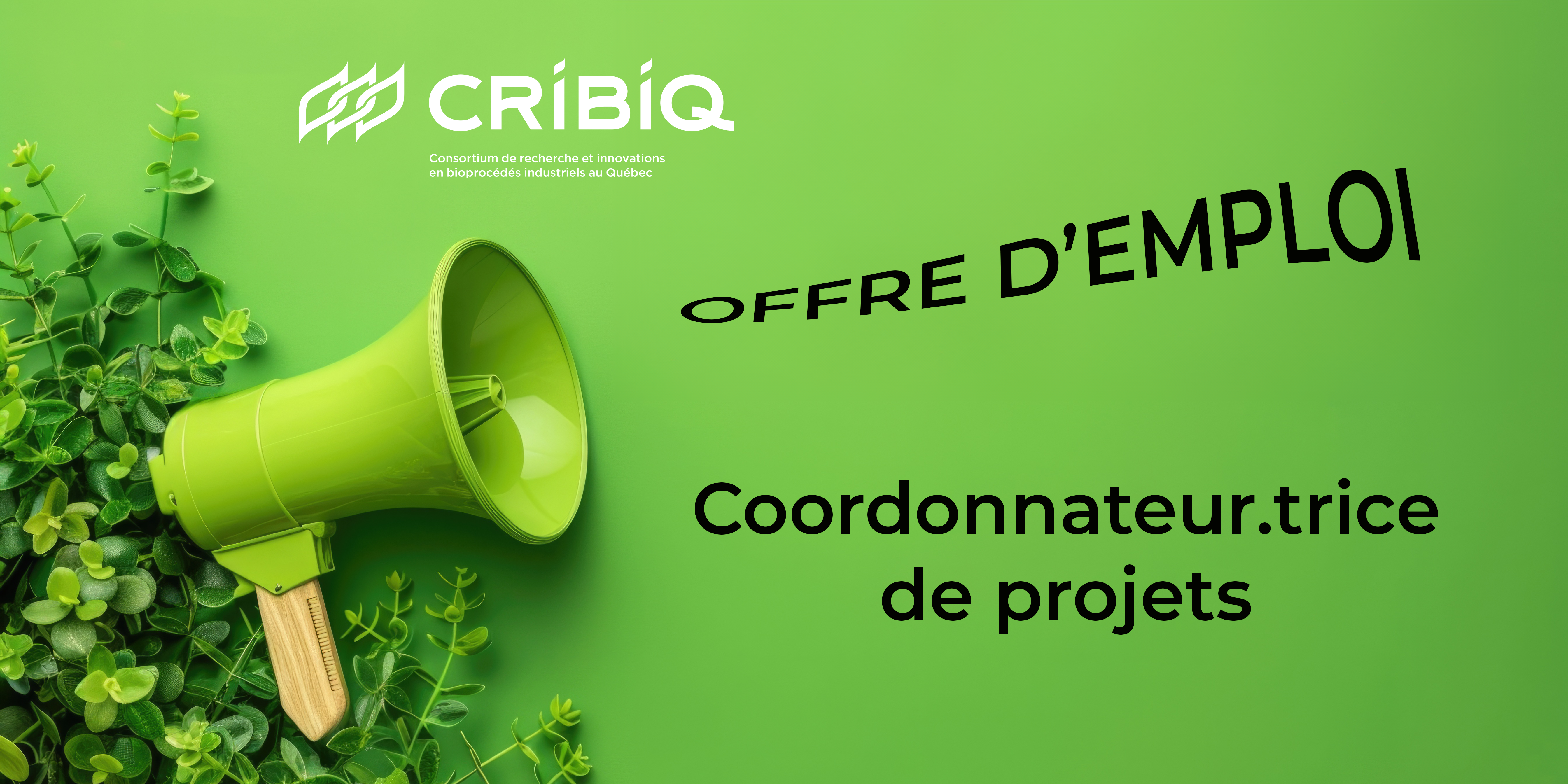 Offre d'emploi : coordonnateur·rice de projets