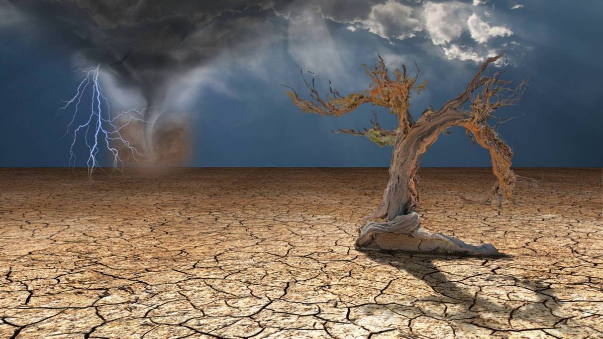 David Suzuki: Des solutions pour rafraîchir signifient qu'une planète plus chaude est inévitable