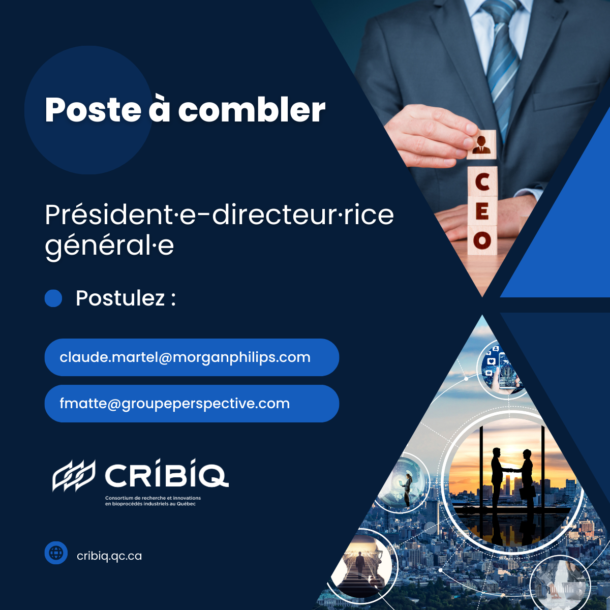 Le CRIBIQ est à la recherche d'un·e candidat·e au poste de président·e-directeur·rice général·e