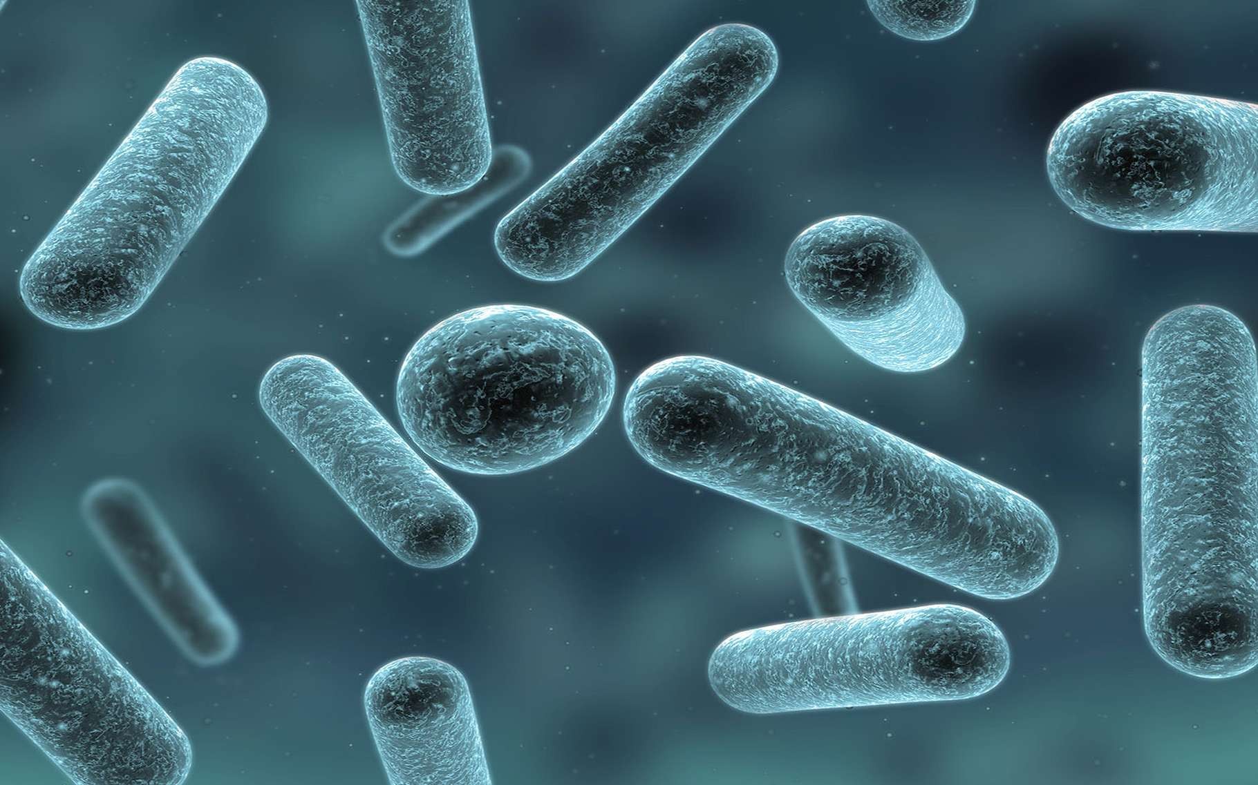 Le plasmide «probiotique» pourrait-il combattre la résistance aux antibiotiques?