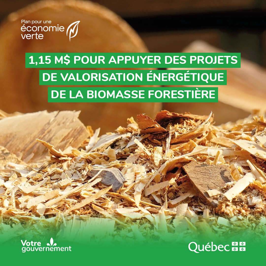 The Québec Government Invests $1.15 million to Support Projects for the Conversion of Forest Biomass into Energy