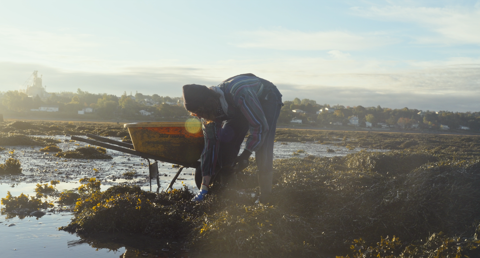 (Vidéo) Une innovation durable issue de la mer : le CRIBIQ et Organic Ocean révèlent une avancée pour l’agriculture