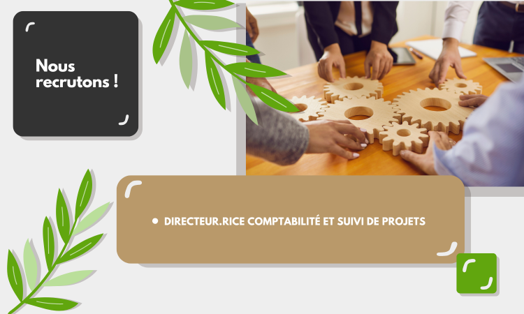 Offre d'emploi : Comptabilité et Suivi de projets