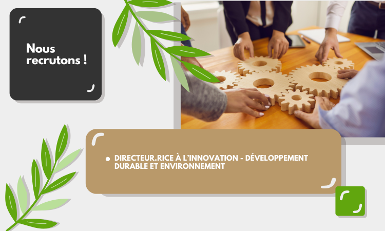 Job Opportunity: Director of Innovation – Sustainable Development and Environment