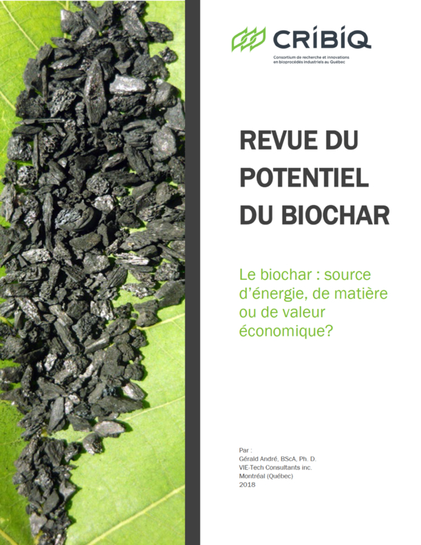 Review of the potential of biochar